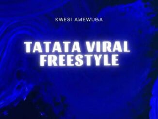 Kwesi Amewuga - Tatata Viral Freestyle mp3 download