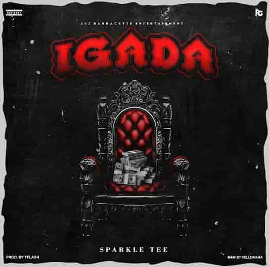 Sparkle Tee - Igada