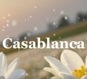 Winosevibe - Casablanca Mp3 Download