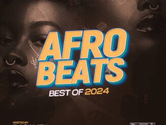 DJ Gamza - Afrobeats Best of 2024 Mixtape