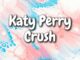 Katy Perry Crush Lyrics