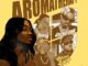 Chocolate City, Young Jonn, Major AJ, Tar1Q & Noon Dave - Aromatheraphy Lyrics