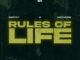 Entity & Hotkeed - Rules Of Life Lyrics