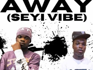 Manny Monie - Away (Seyi Vibe) ft. Wizka