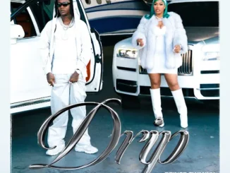 Prince Swanny – Drip ft. Stefflon Don