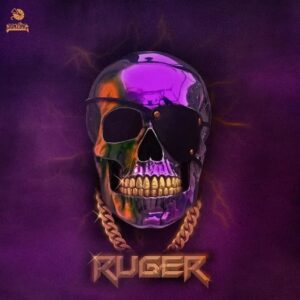 Ruger - Red Flags Mp3 Download