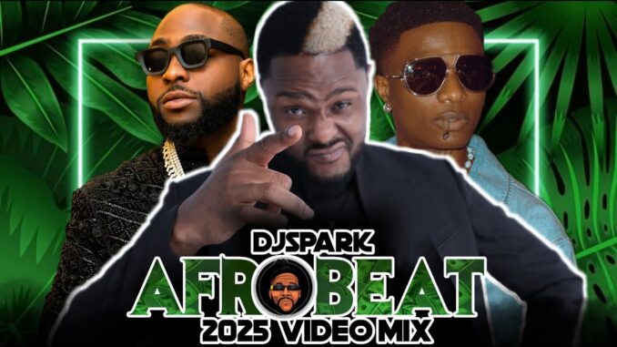 DJ Spark - NEW AFROPARTY MIX 2025