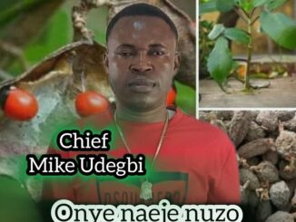 Chief Michael Udegbi – Onye Neje N'Uzo