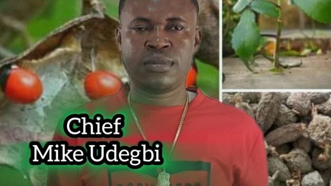 Chief Michael Udegbi – Onye Neje N'Uzo