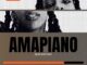 DJ Twise - Amapiano 2025 Mixtape Vol. 4