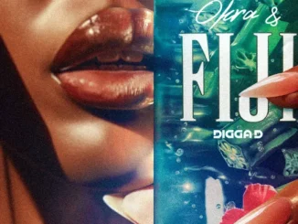 Digga D – Okra & Fiji