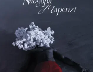 Jaivah - Naogopa Mapenzi