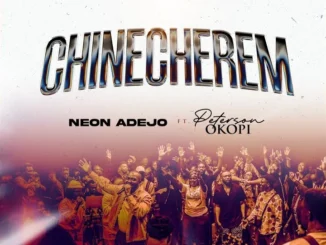 Neon Adejo & Peterson Okopi - Chinecherem (Remix)