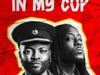 Skales Ft Ace Hood – In My Cup