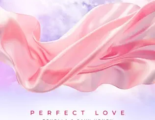 Tchella & Savy Henry - Perfect Love