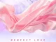 Tchella & Savy Henry - Perfect Love