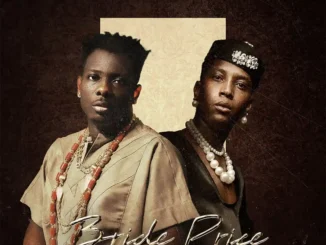 Terry Apala – Bride Price ft. Bella Shmurda