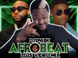 DJ Spark - NEW AFROPARTY MIX 2025