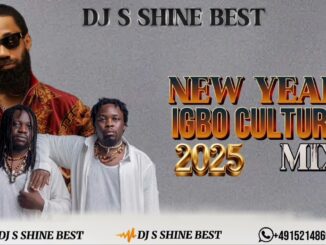 DJ S Shine Best - NEW YEAR IGBO CULTURE MIXTAPE 2025