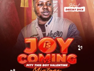 DJ Dice – Joy Is Coming Vs Pity This Boy Valentine’s Mixtape