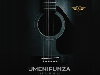 Umenifunza - D Voice - (Instrumental) Produced By Ayo Lizer