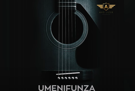 Umenifunza - D Voice - (Instrumental) Produced By Ayo Lizer