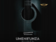 Umenifunza - D Voice - (Instrumental) Produced By Ayo Lizer