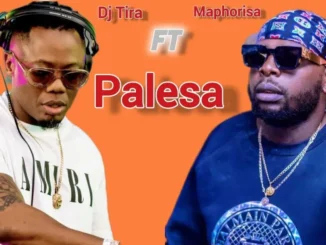 DJ Maphorisa – Palesa Ft. Xduppy & Dj Tira