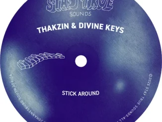 Thakzin & Divine Keys – Stick Around