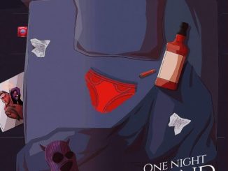 Mr Lay - One Night Stand