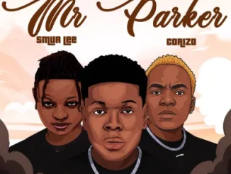 Skelvin – Mr Parker Ft. Smur Lee & Corizo