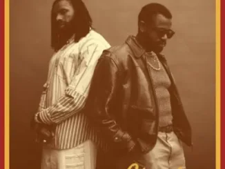 The Cavemen – Chameleon