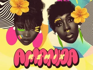 Zuchu – Amanda (Remix) Ft. Spice