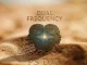 PS DJz – Dual Frequency Album