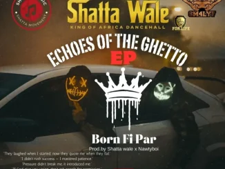Shatta Wale – Boss A Di Whole Place