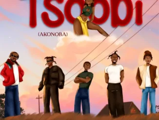 Skyface SDW – TSOOBI (AKONOBA) Ft. Lasmid, Jay Bahd, Kwaku DMC & Beeztrap KOTM